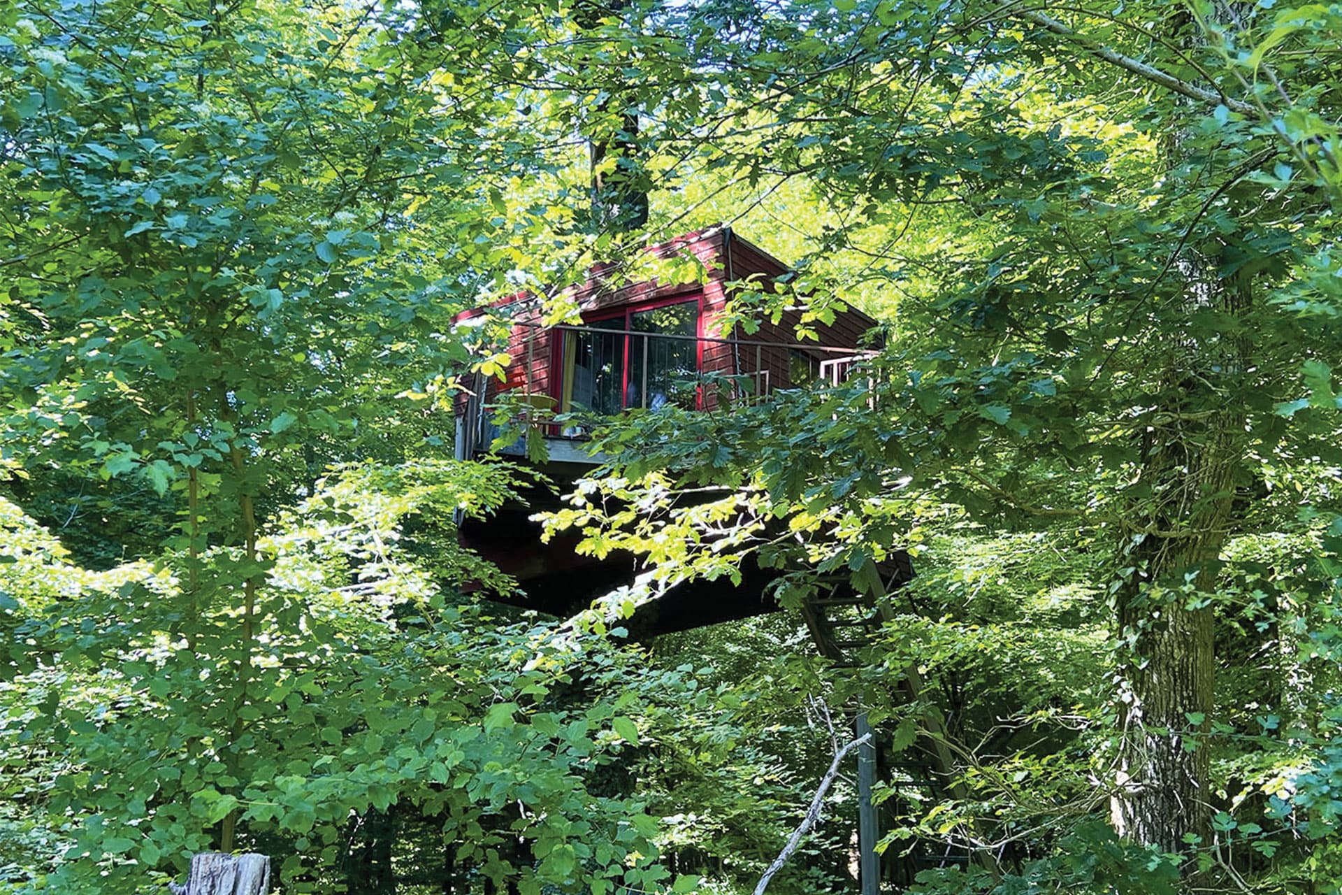 location-cabane-le-nid-penche