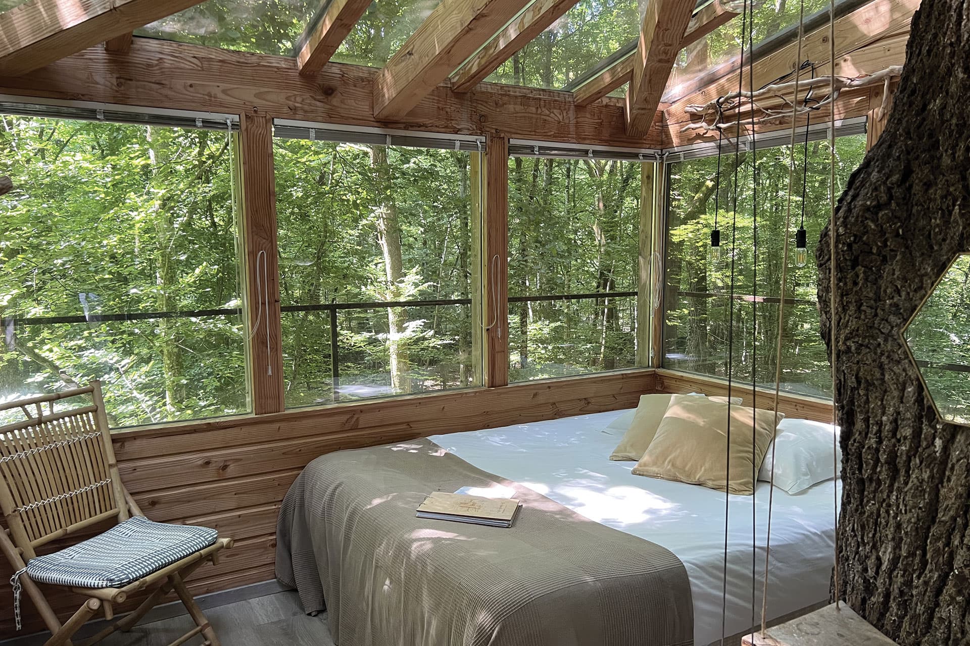 nid-sous-les-etoiles