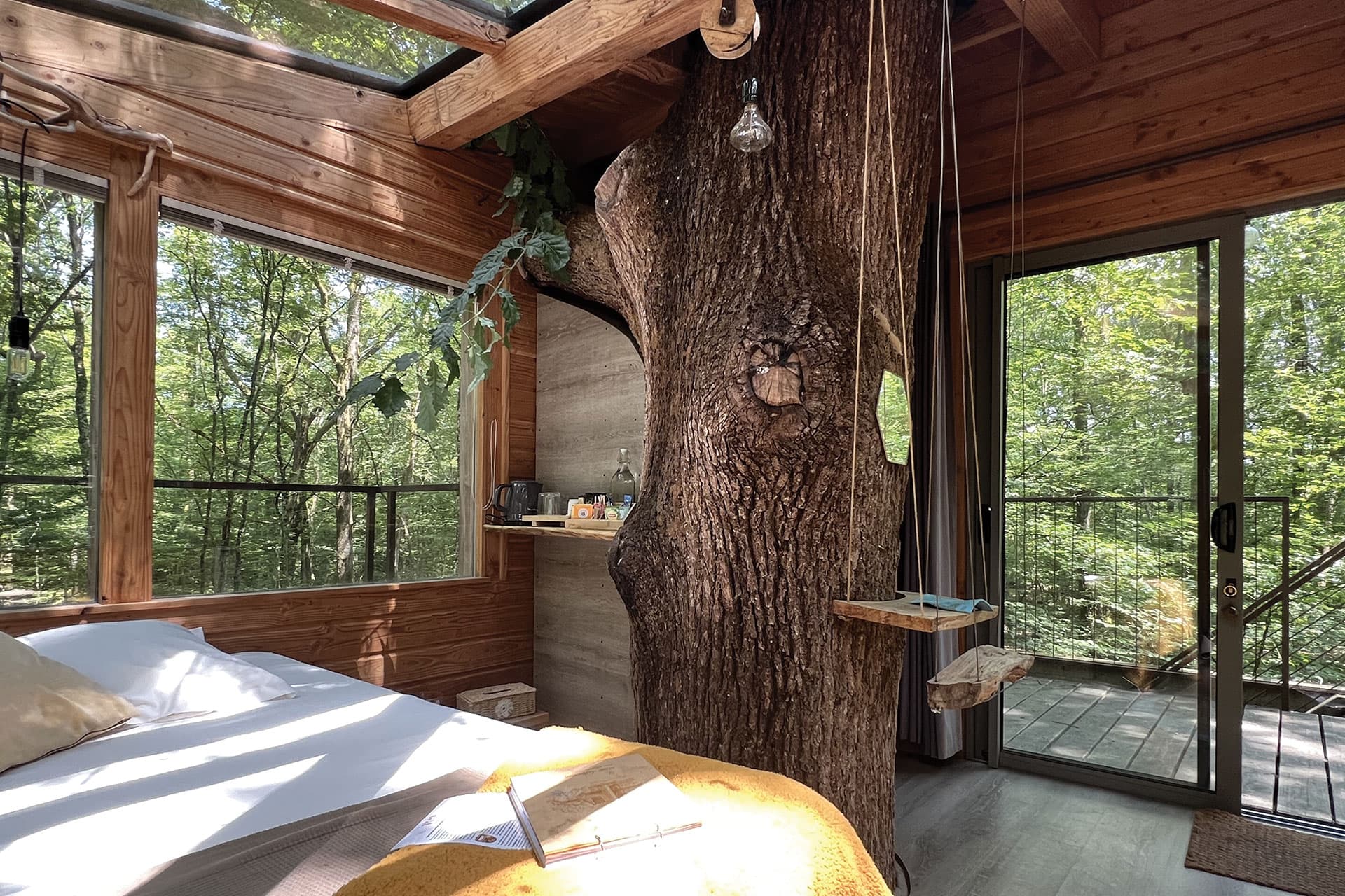 nid-sous-les-etoiles5