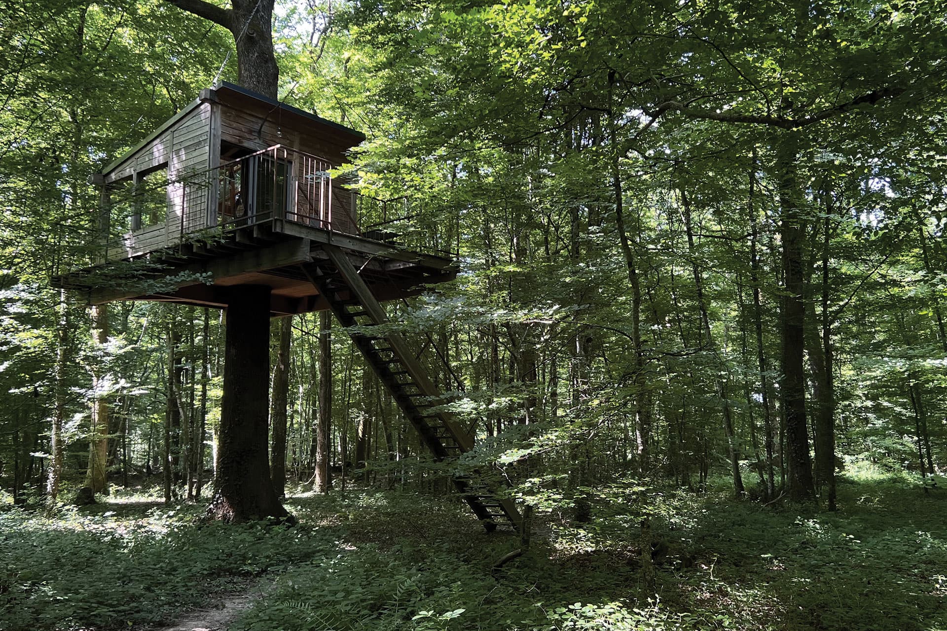 nid-sous-les-etoiles7